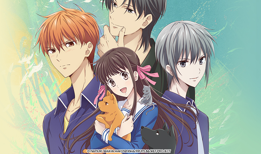 Fruits basket
