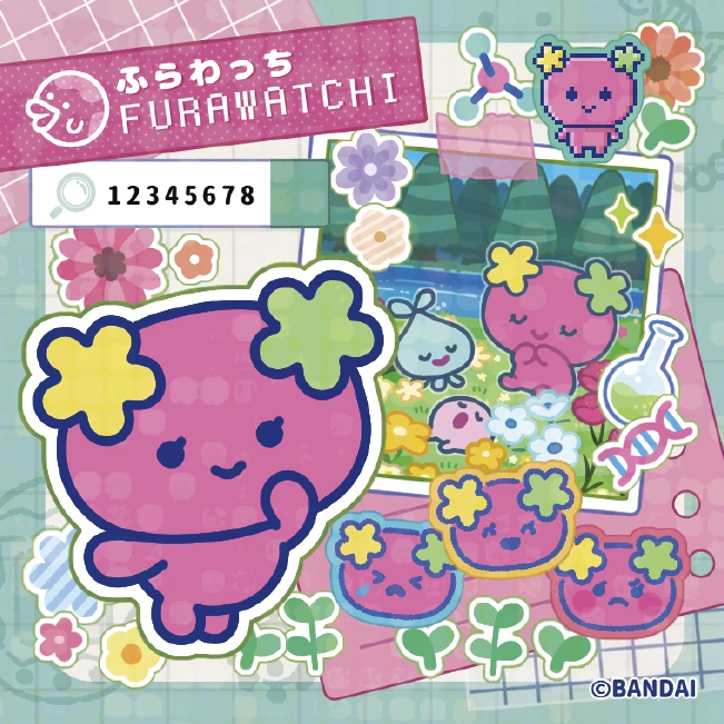 Furawatchi