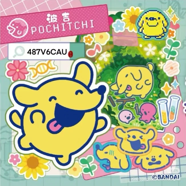 Pochitchi